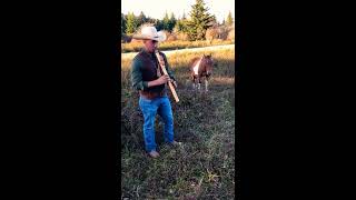 Playing the native American flute for a wild horse!