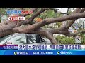 台南清晨雨勢大! 路樹壓毀兩車 被害車主喊衰 &quot;閃電雷擊&quot;電桿冒火光 高雄湖內區366戶大停電│記者 王紹宇 徐士庭 陳俞安│【LIVE大現場】20240528│三立新聞台