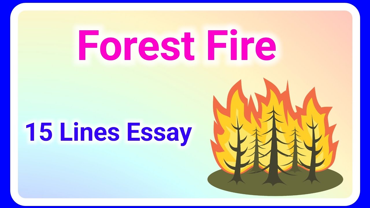 causes of forest fires essay