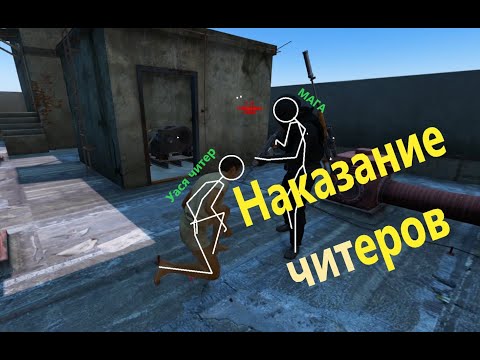 Видео: Читер (Стрим-Снайпер) DAYZ