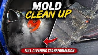 Opened This Car… And Found MOLD Everywhere!!