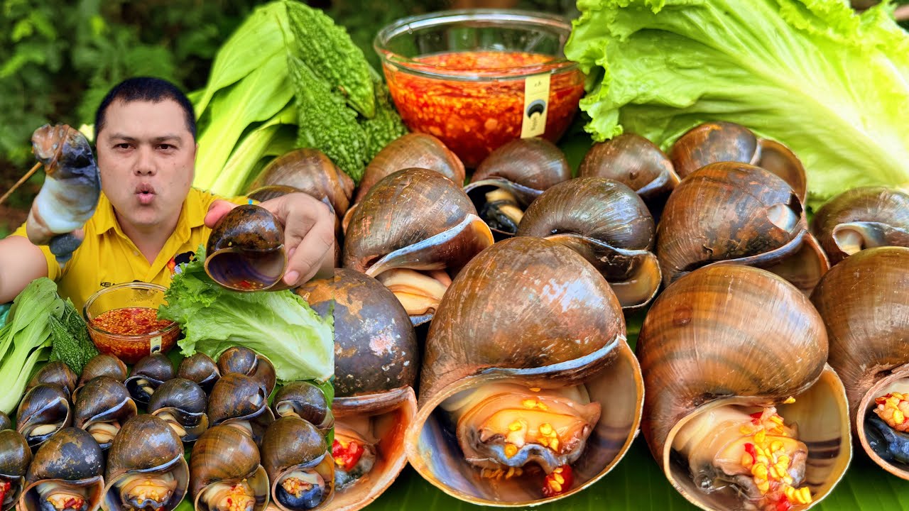 หอยโข่งยักษ์ ฉ่ำๆ กรุ๊ปๆ หวาน ๆ #mukbang #eatingshow shellfish #จ่าเอ๋กินแซ่บchannel 