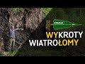 Wykroty, korzenie i inne "wały" - o Lesie #31