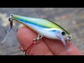 Making an Ultralight (AQUARIUM FISH) Lure