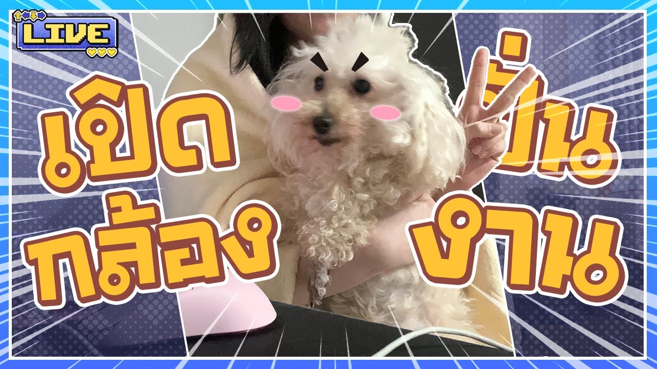 ไม่อยากไปเรียน