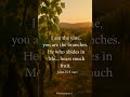 #music #worshipmusic #song #nocopyright #bible #bibleverse #fyp #viralvideo #trending