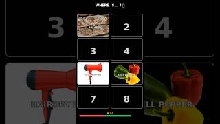 only 5%pass this memory test: hairdryer, Squirrel, Bell Pepper, Polo Shirt, Green Pea, Sieve,
