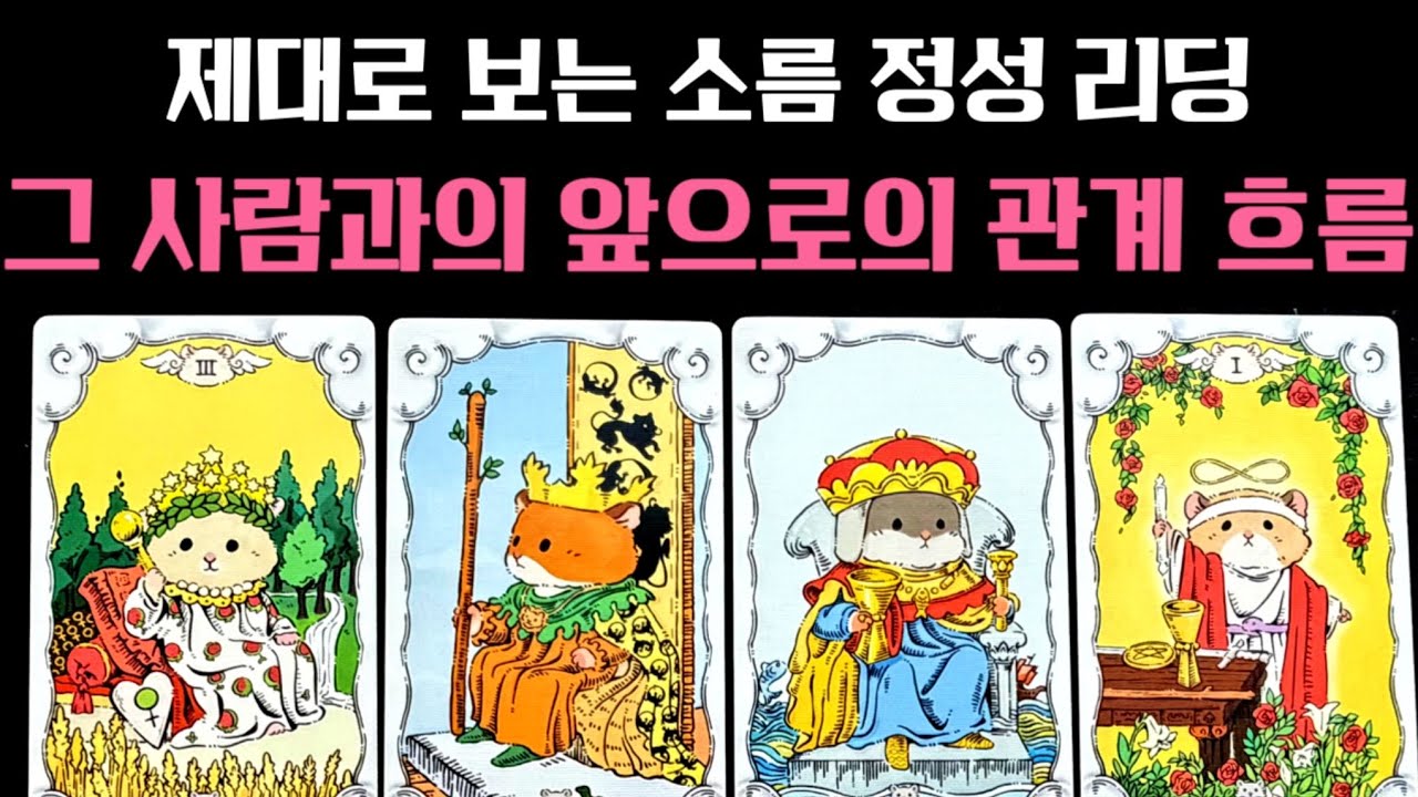 [타로] 그 사람과의 앞으로의 관계 흐름🐬🩵