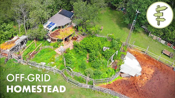 12 YEARS Living Off-Grid on a Sustainable Homestead in a Self-Built Cob Home - DayDayNews