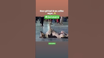 Saiyaara #saiyaara #saiyara #shortsfeed