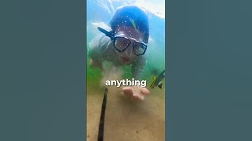 I Metal Detected 25 Miles of Ocean and Found...