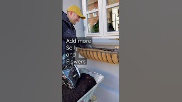 How to Plant a Window Box (the RIGHT Way) #windowbox #gardeningtips #hangingbasket #gardenshorts