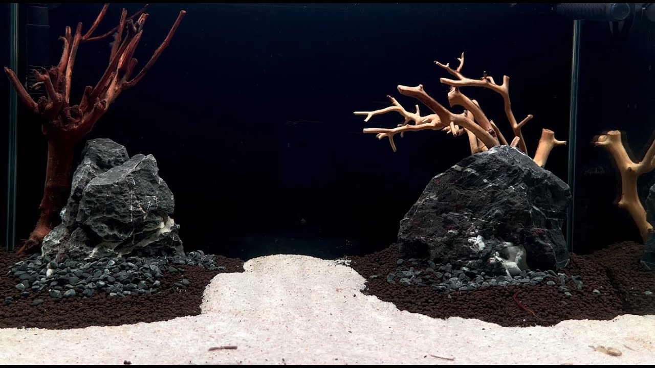 La Première Aquascape Tank Dark Start Method Update AquaEden
