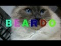 BEARDO - Vet Lecture