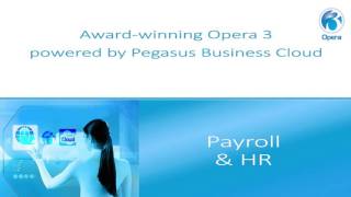 Pegasus Business Cloud Video