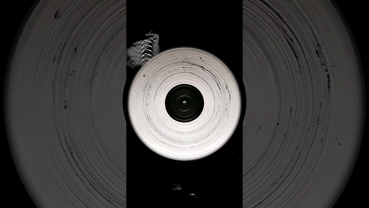 𝐖𝐇𝐈𝐓𝐄𝐋𝐀𝐁 𝐏𝐑𝐄𝐌𝐈𝐄𝐑𝐄 citóg - Graffiti On The Wall [WHITELAB] 