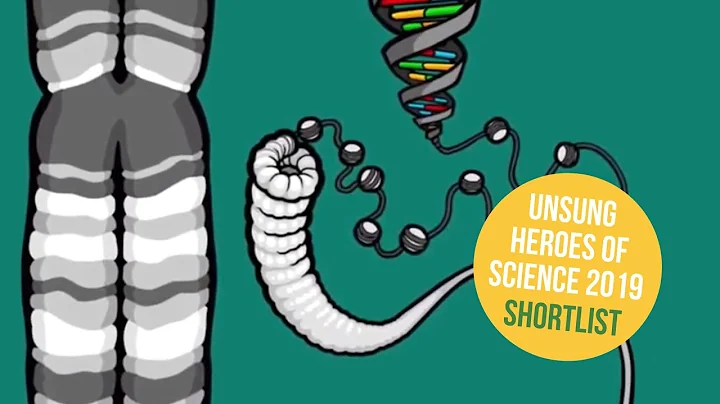 Nettie Stevens: Unsung Heroes of Science 2019