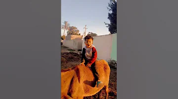انا مش فاتحه سداح مداح لازما يبقى معاك اكسبلور 
