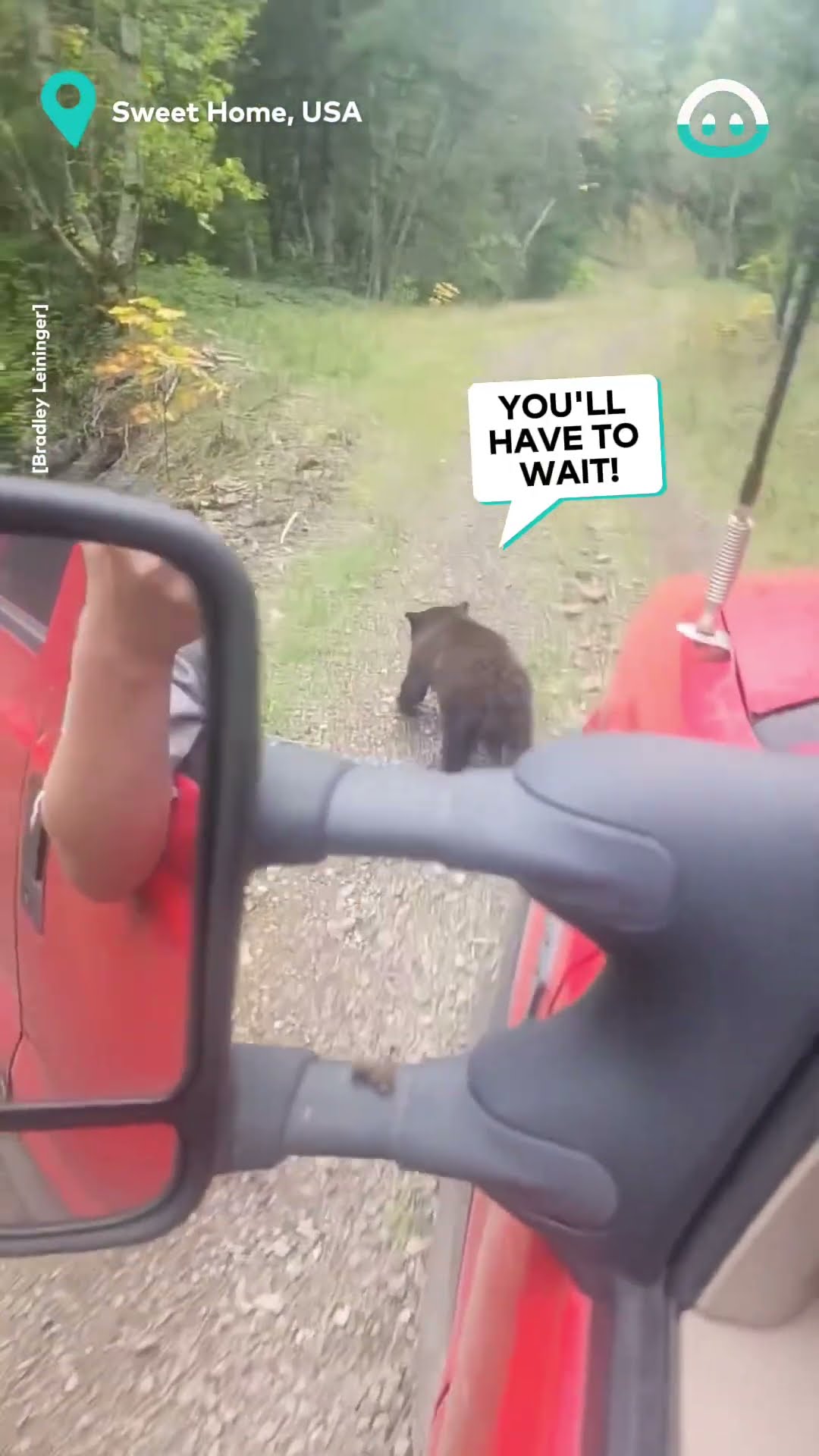 Bear Holds Up Traffic || ViralHog