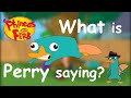 What is Perry saying Phineas and Ferb Pt. 1