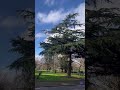 Go to the park for a walk London#jimcorbettwildlifeandnatureview #nature #naturehike #naturewalking