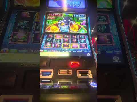 Experience the Thrill of Pokies: Play Top Online Casinos in English for Australia