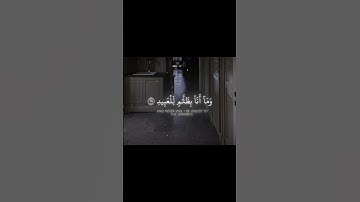 قرآن كريم بصوت جميل يريح القلب #قران_كريم #قران_كريم #قران_كريم #اكسبلور #المصحف #دويتو #الرحمن