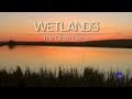 Wetlands the drain game