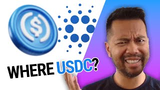 Why Cardano Needs USDC