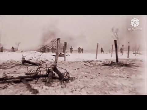 Течёт река бессмертного полка
