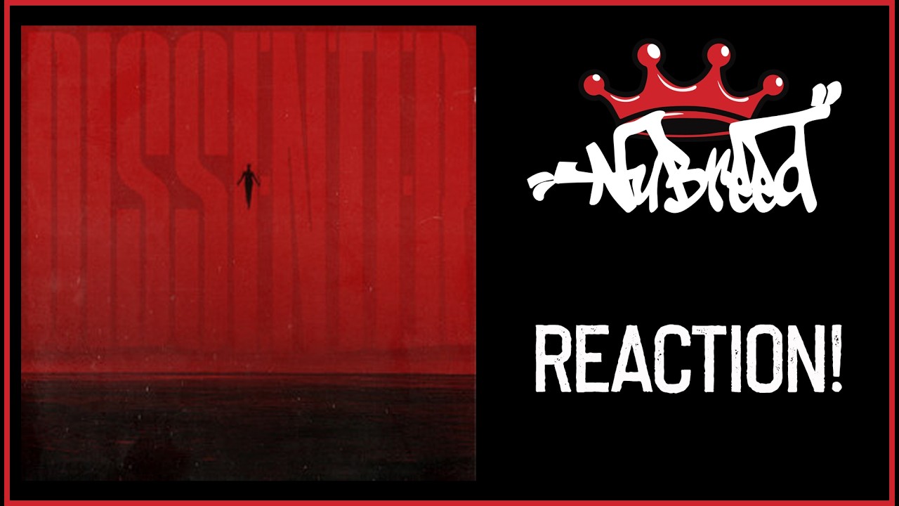Nu-Breed Reacts! - Haste The Day - Shallows
