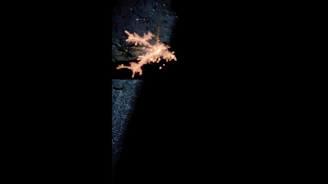 【心霊闇動画】暗がりに誰かいる！庭で線香花火を撮影していた夏の夜。わずかな光の外、闇の中に佇む想像だにしない存在の正体…【闇に立つモノ】【95】