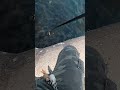 エギ番長でエギングします