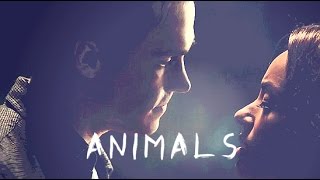 Kai & Bonnie Animals