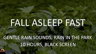Fall Asleep Fast, Gentle Rain Sounds No Thunder, Black Screen Rain for Sleeping by House of Rain