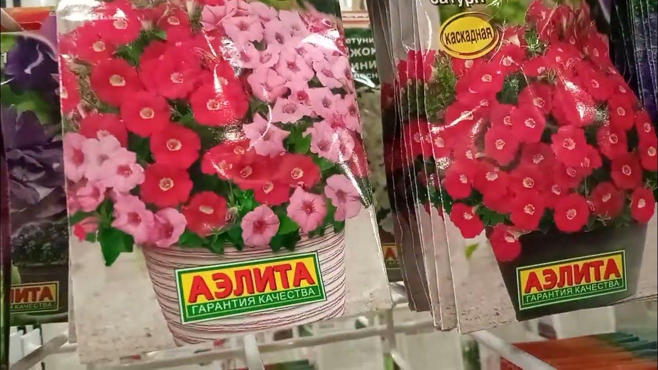 Цены 😱😵😳на семена ампельной петунии. 😠😰😤Сезон 2023г.Хит сезона. г. Омск ...
