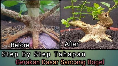 Step By Step Membuat Gerak Dasar Sancang Bogel Bag. 1