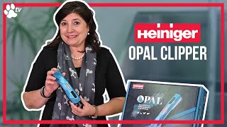 heiniger opal cordless