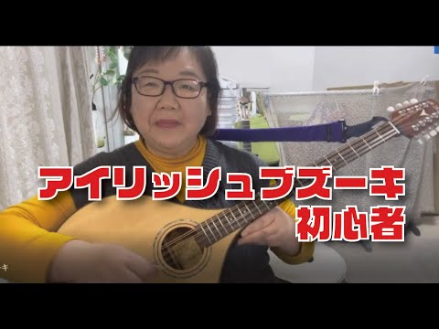 HORA ブズーキ8弦 左用 ピックアップ トーンコントロール付き