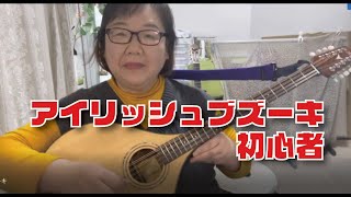 HORA ブズーキ8弦 左用　ピックアップ　トーンコントロール付き HORA ブズーキ8弦 左用 ピックアップ トーンコントロール付き