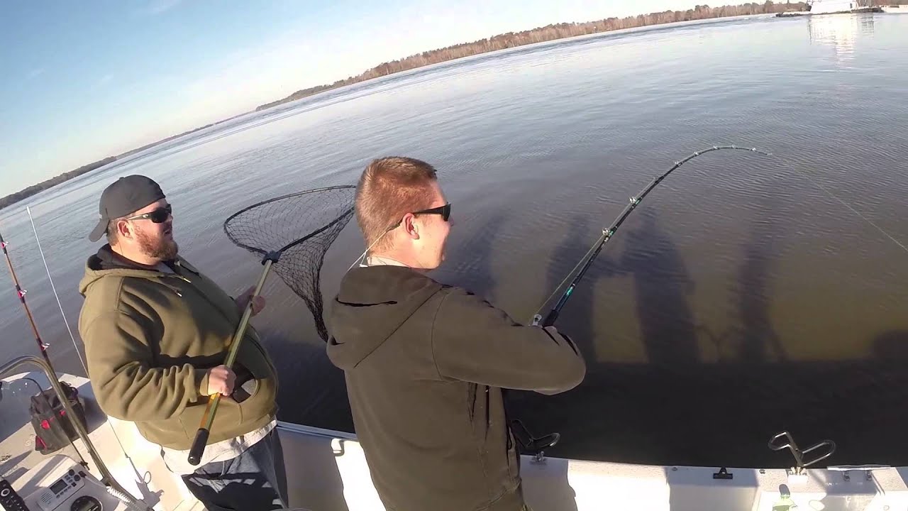 Blind Squirrel Catfishing Video 6 YouTube