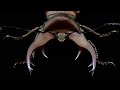 カウピホソアカクワガタの成虫掘り出し結果【クワガタ飼育】