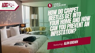 How Do Carpet Beetles Get Into Your Home  Ask An Expert