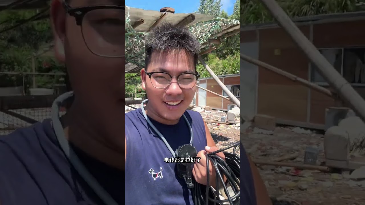 鸡苗突然提前到来，打乱了所有计划！ 20000的教训埋在了地底下#返乡创业新农人 #生活不会辜负每一个努力的人 #我的乡村生活 #鸡小邵 #鸡棚