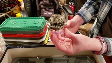 Eclipse Second Dawn For The Galaxy UNBOXING