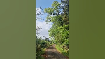 Tranquil Pathways: Serene Hiking Trail in Jeju Island #scenery #nature #jejuisland
