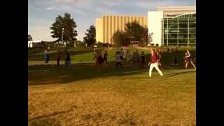 Denver Flash Mob - Ho Hey Proposal in City Park