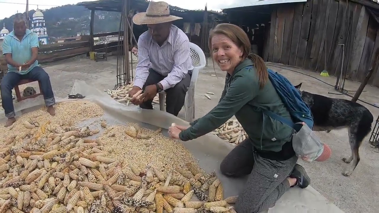 Mixtec Culture march 2022