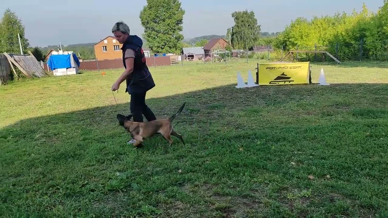 Ерра из Мира Енали 3,5 месяца