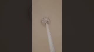 3313 Wilson Ave Bronx, NY 10469